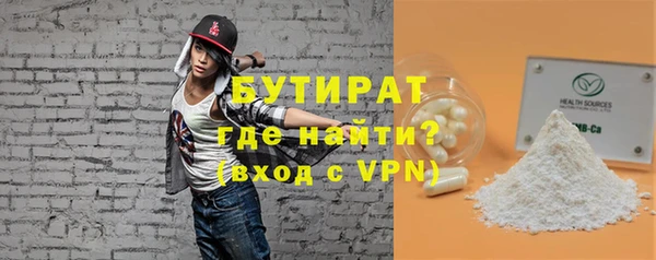 индика Новодвинск
