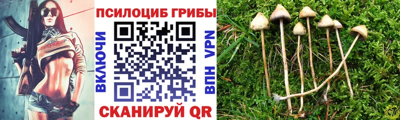 кракен сайт  Уяр  Галлюциногенные грибы ЛСД 
